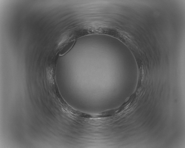 X0000067351060200603311146