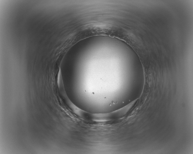X0000067351061200603311146