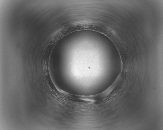 X0000067351062200603311146