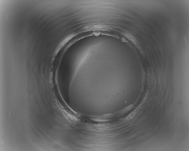 X0000067351066200603311146