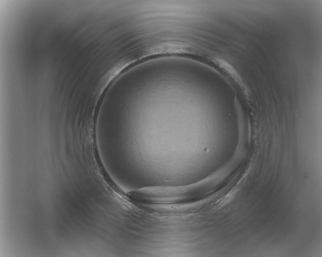 X0000067351081200603311146