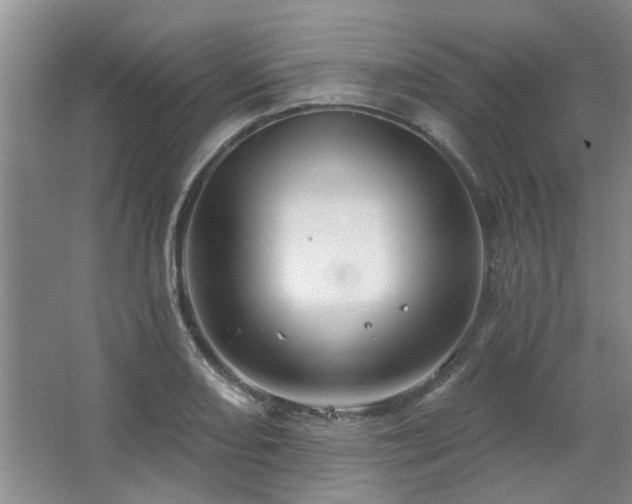 X0000067351082200603311146