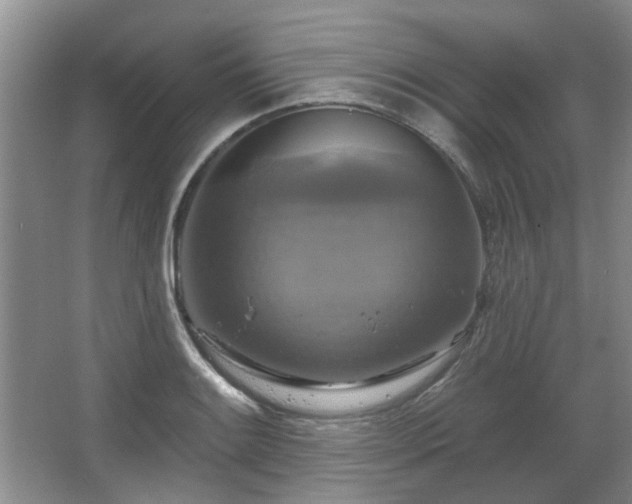 X0000067351084200603311146