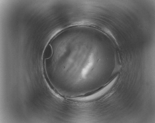 X0000067351087200603311146