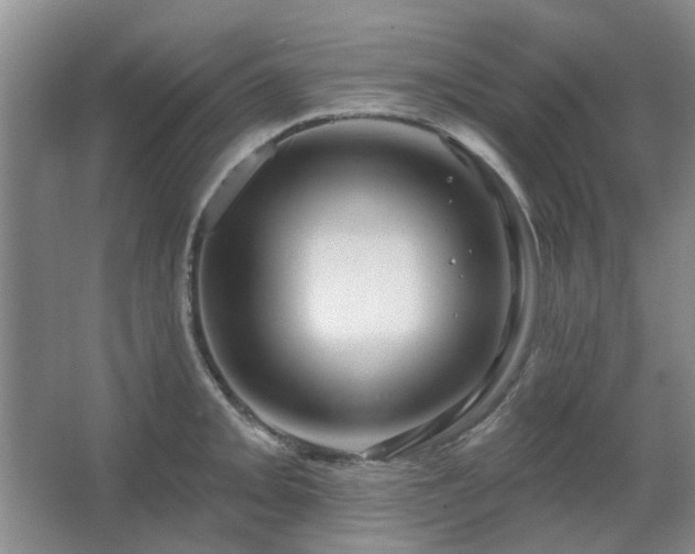 X0000067351093200603311146