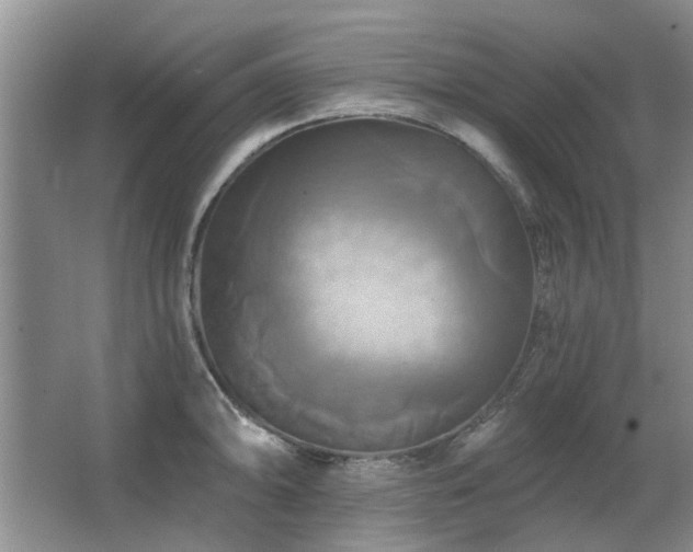 X0000067351094200603311146