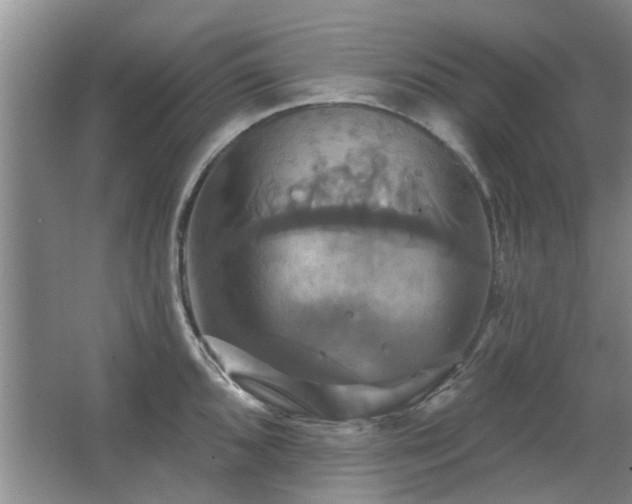 X0000067351096200603311146