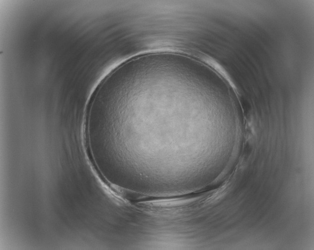 X0000067351101200603311145