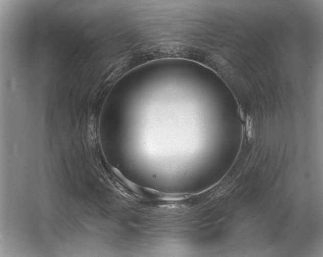 X0000067351107200603311145