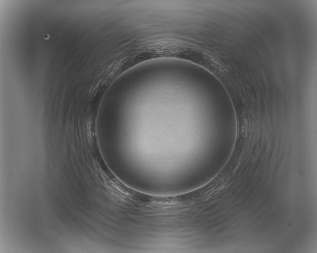 X0000067351108200603311145