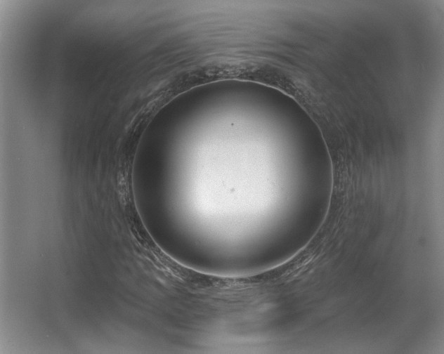 X0000067351109200603311145