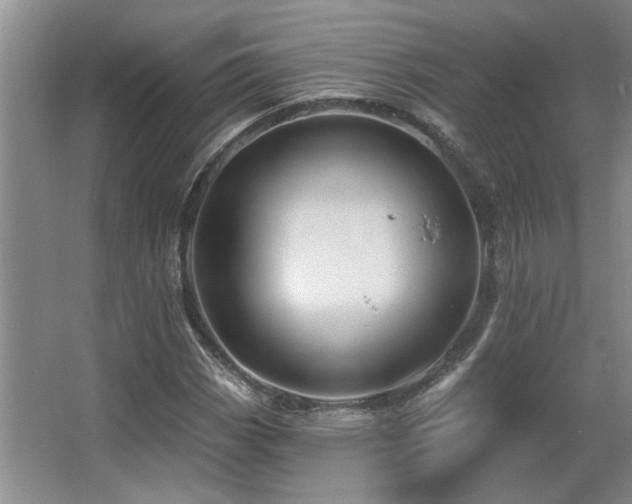 X0000067351113200603311145