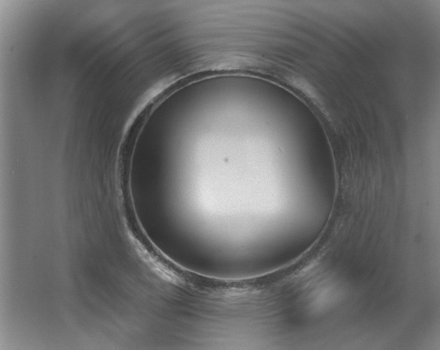 X0000067351122200603311145