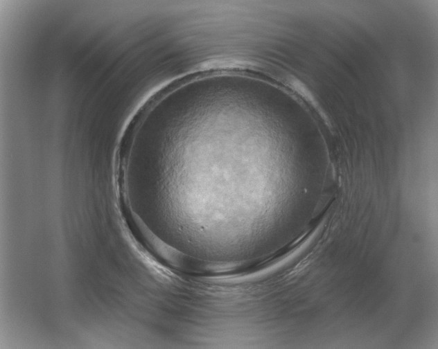 X0000067351124200603311145