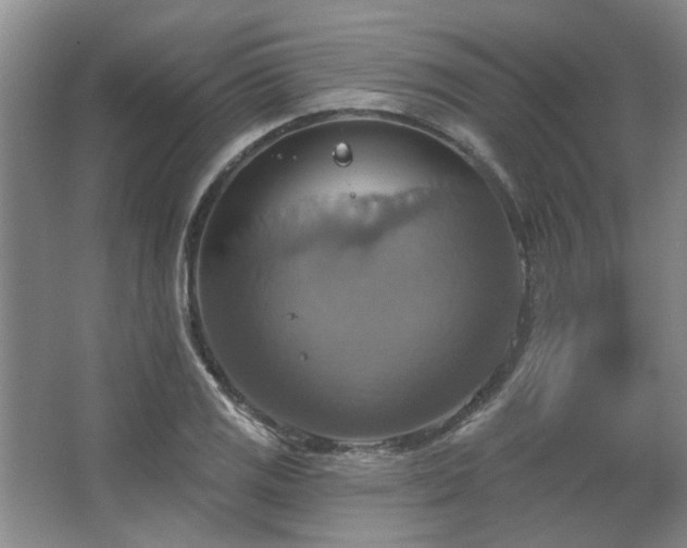 X0000067351125200603311145