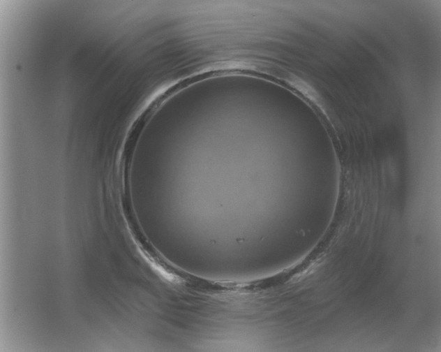 X0000067351127200603311145