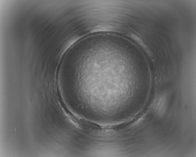 X0000067351129200603311145