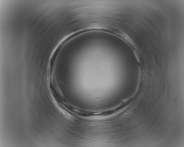 X0000067351132200603311145