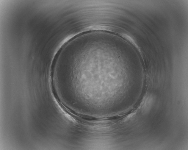X0000067351133200603311145