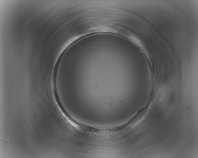 X0000067351141200603311145