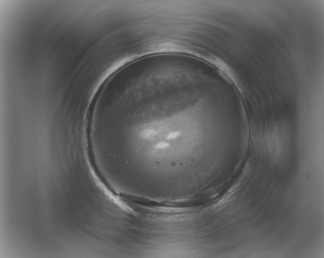 X0000067351142200603311145