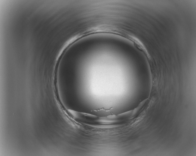X0000067351146200603311145