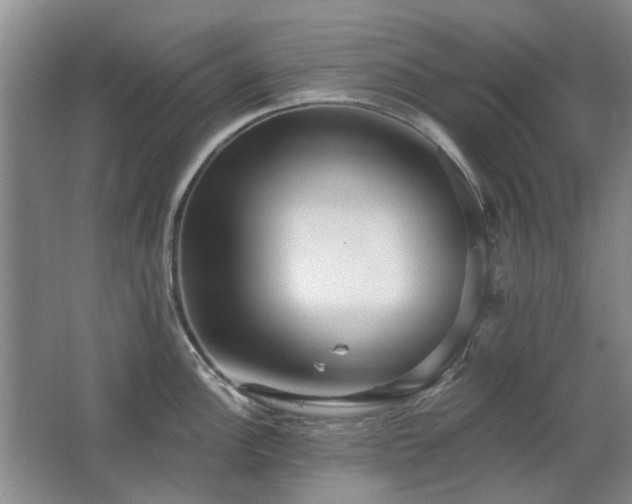 X0000067351148200603311145