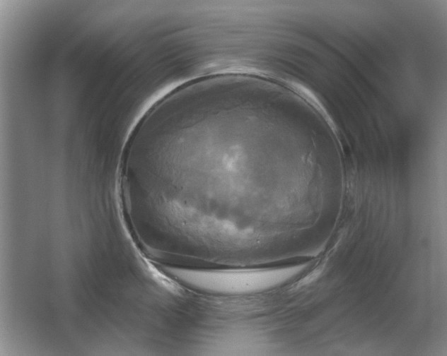 X0000067351149200603311145