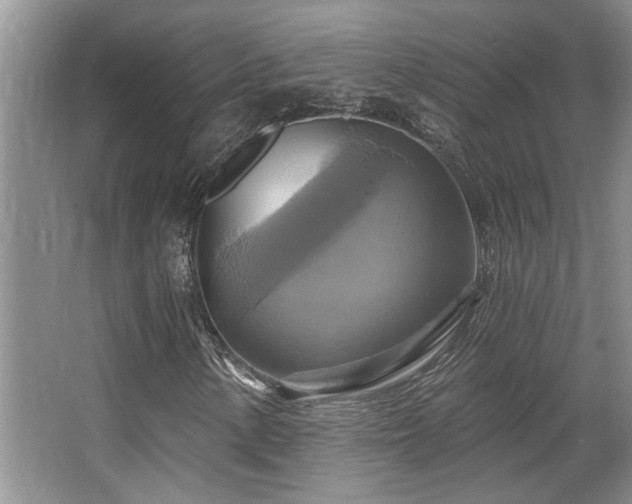 X0000067351154200603311145