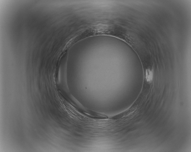 X0000067351155200603311145