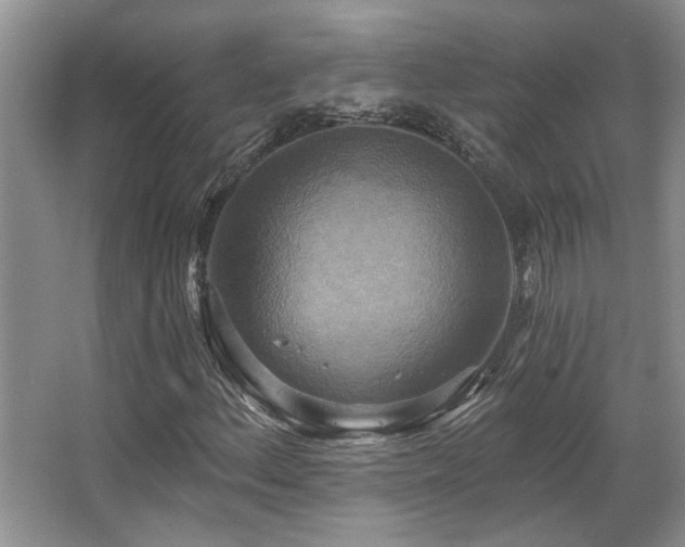 X0000067351156200603311145
