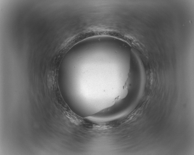 X0000067351157200603311145