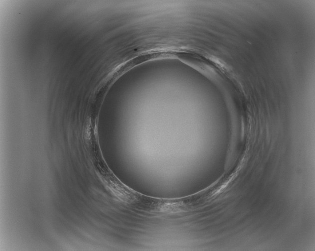 X0000067351161200603311144