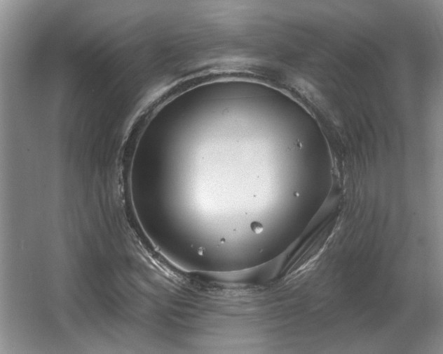 X0000067351164200603311144