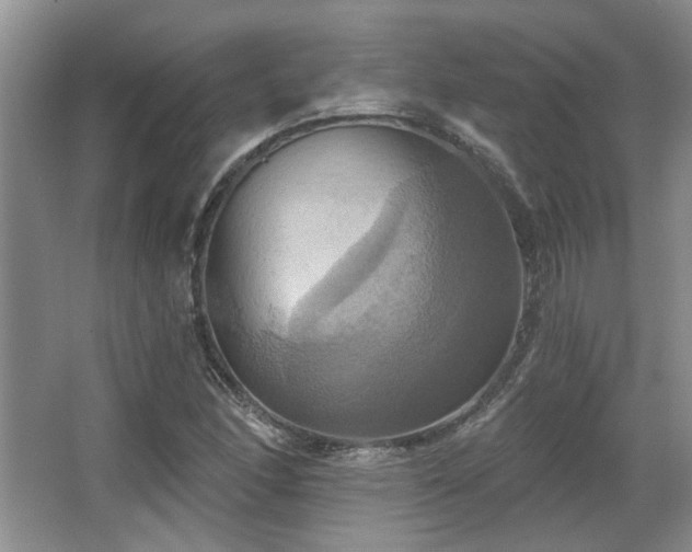 X0000067351166200603311144