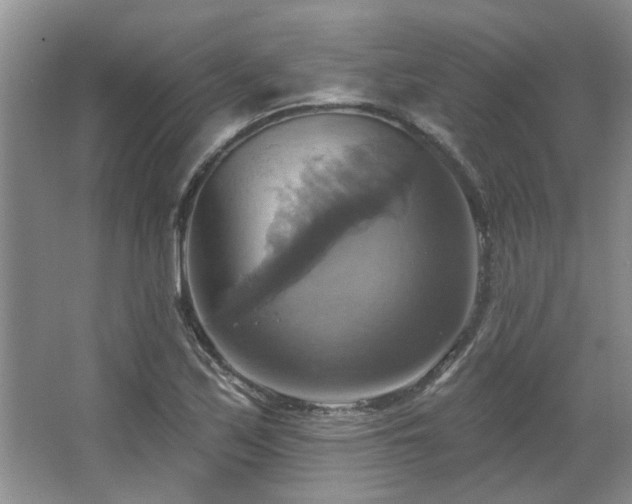 X0000067351171200603311144