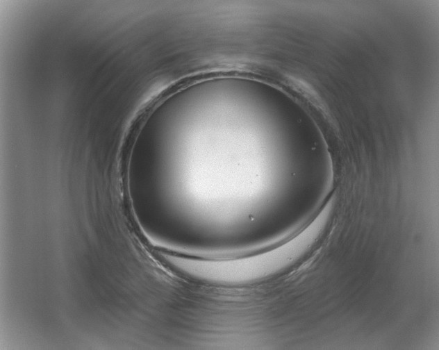 X0000067351172200603311144