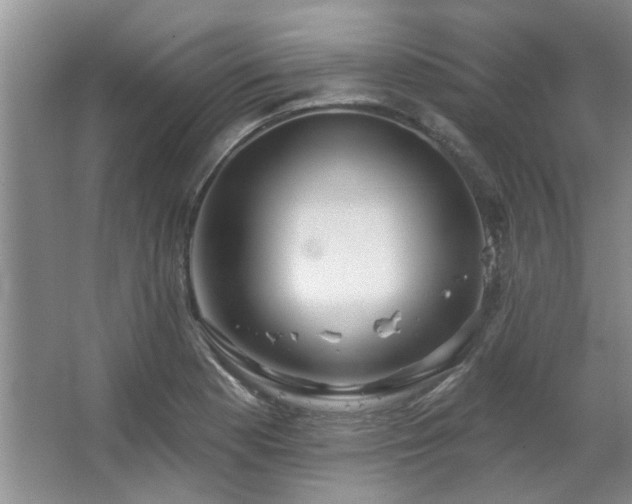X0000067351177200603311144