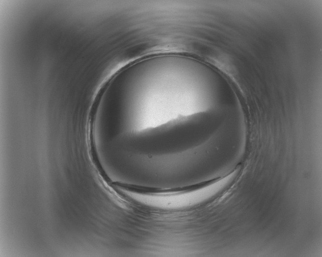 X0000067351179200603311144