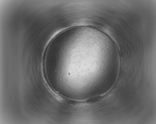 X0000067351187200603311144