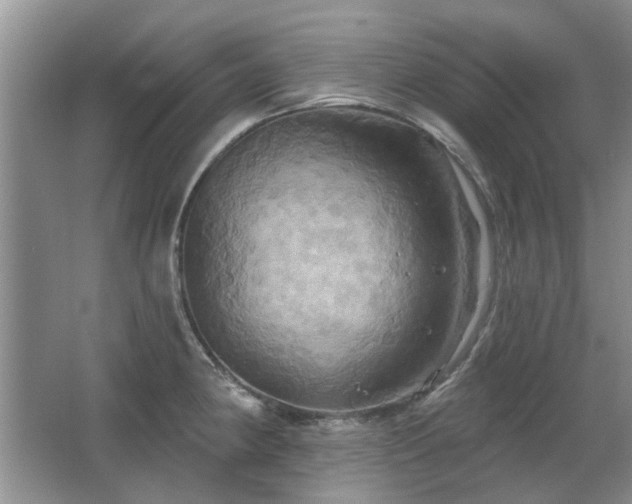 X0000067351190200603311144