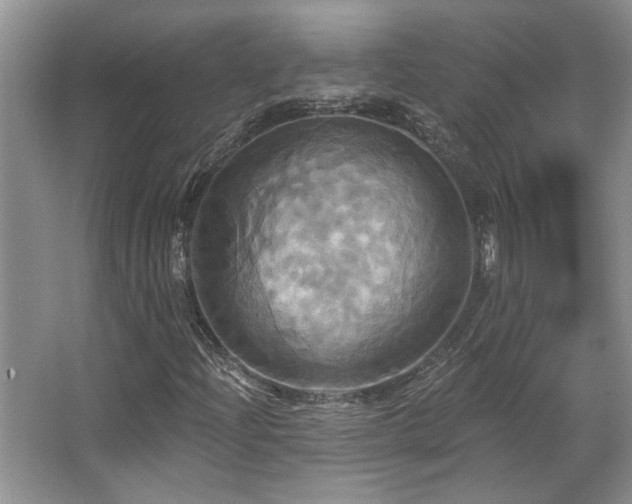 X0000067351204200603311143