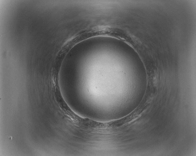 X0000067351206200603311143