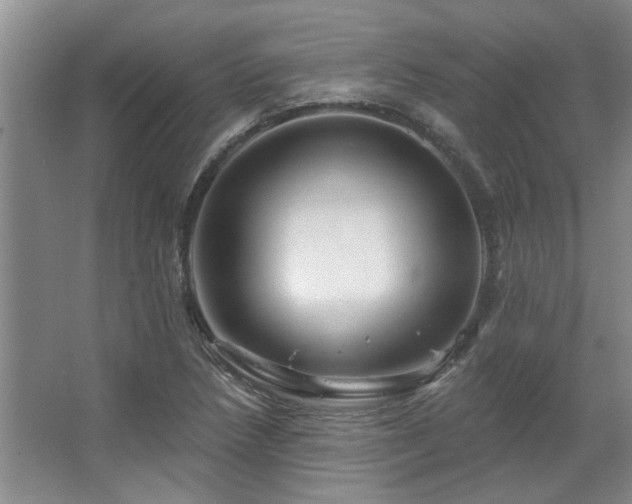X0000067351218200603311143