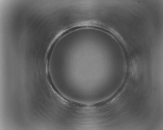 X0000067351224200603311143