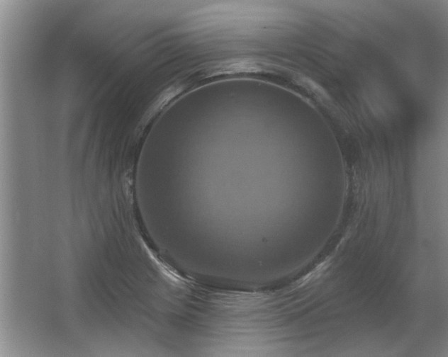 X0000067351225200603311143