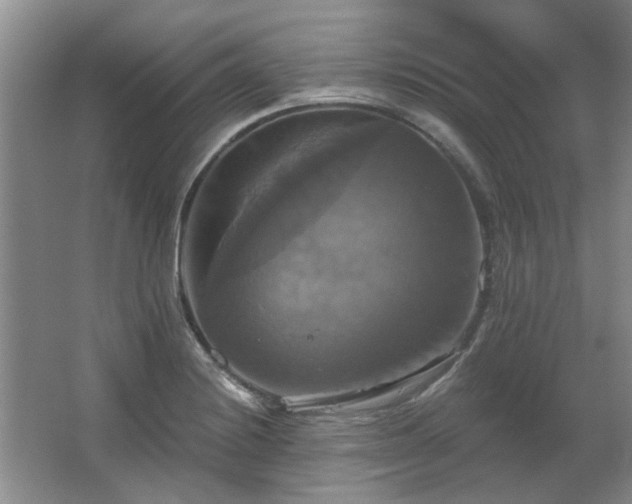 X0000067351228200603311143
