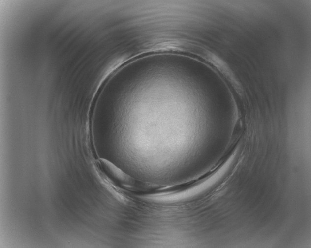 X0000067351234200603311144