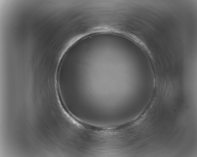 X0000067351239200603311144
