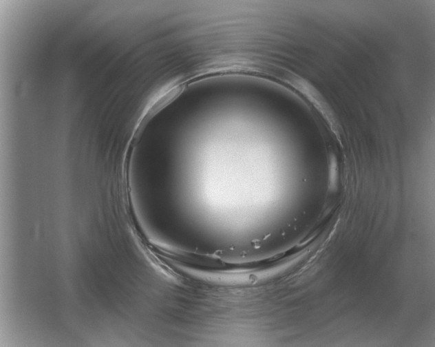 X0000067351242200603311144